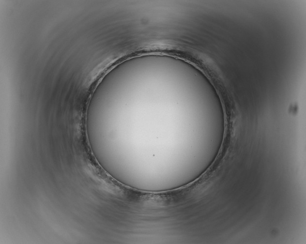 X0000112521217200908311349