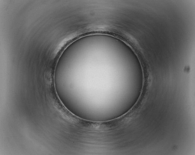 X0000112521218200908311349