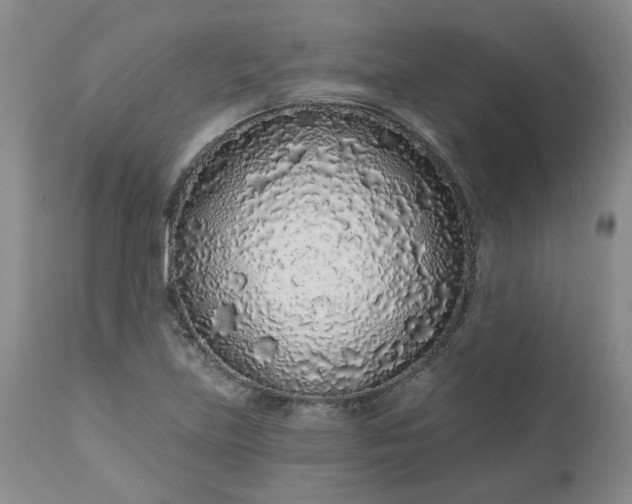 X0000112521219200908311350