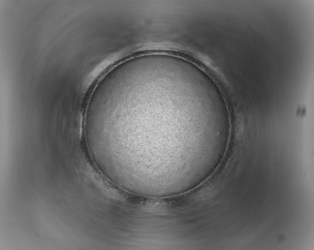 X0000112521221200908311350