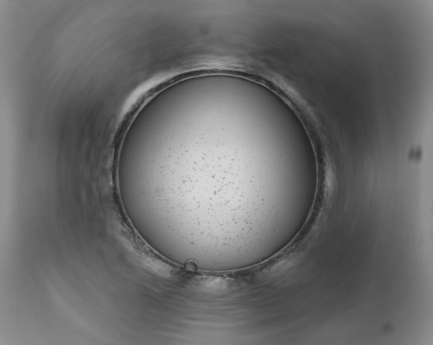 X0000112521222200908311350