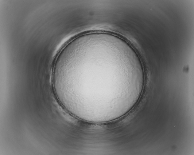 X0000112521224200908311350