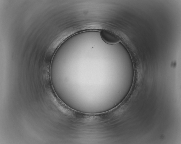 X0000112521225200908311350