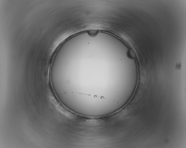 X0000112521227200908311350
