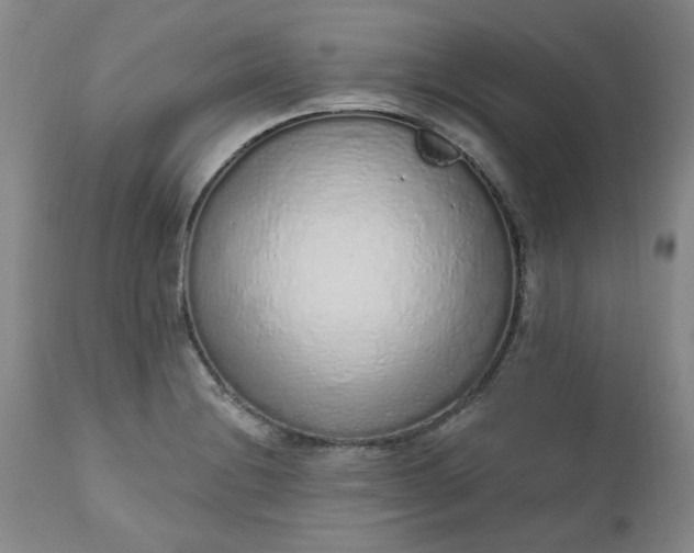 X0000112521228200908311350