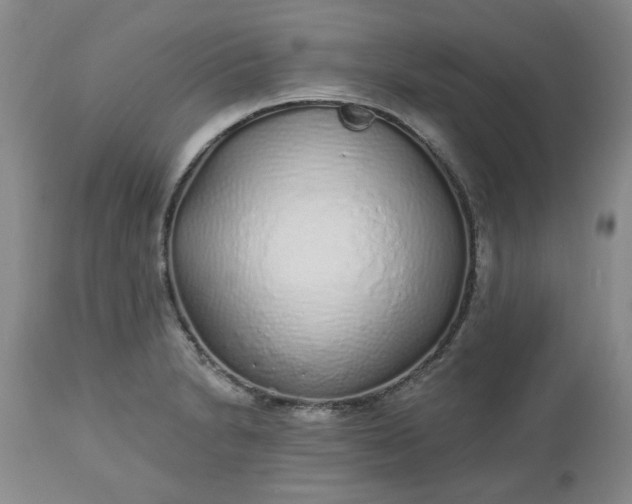 X0000112521230200908311350