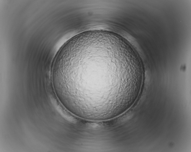X0000112521234200908311350