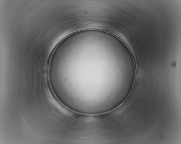 X0000112521235200908311350