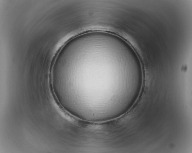 X0000112521237200908311350