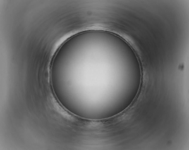 X0000112521238200908311350