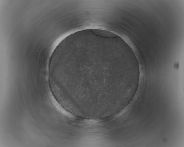 X0000112521246200908311350