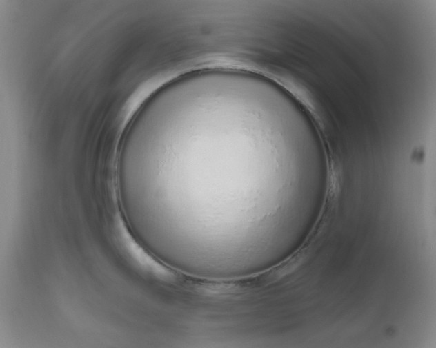 X0000112521247200908311350