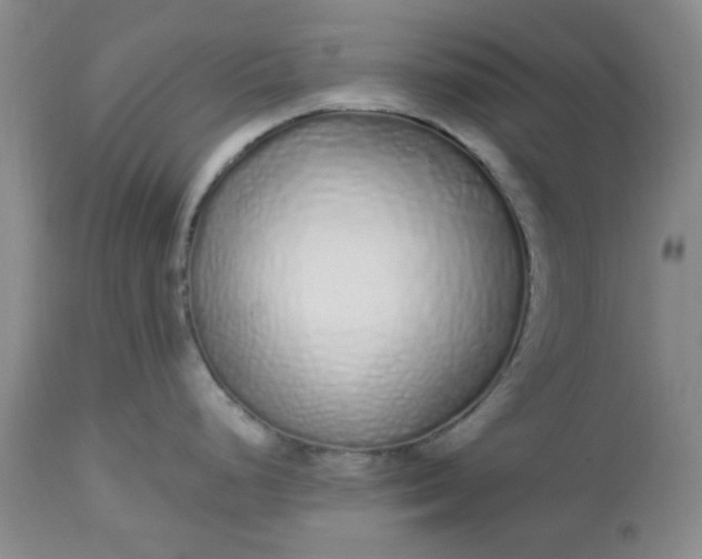 X0000112521248200908311350