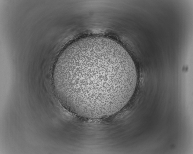 X0000112521249200908311349