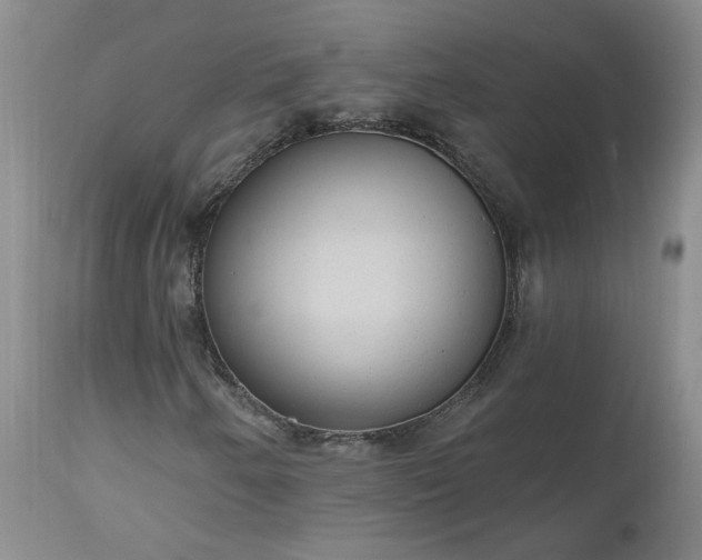 X0000112521250200908311349
