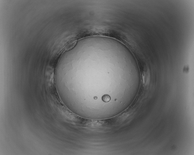 X0000112521251200908311349