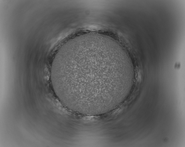 X0000112521253200908311349