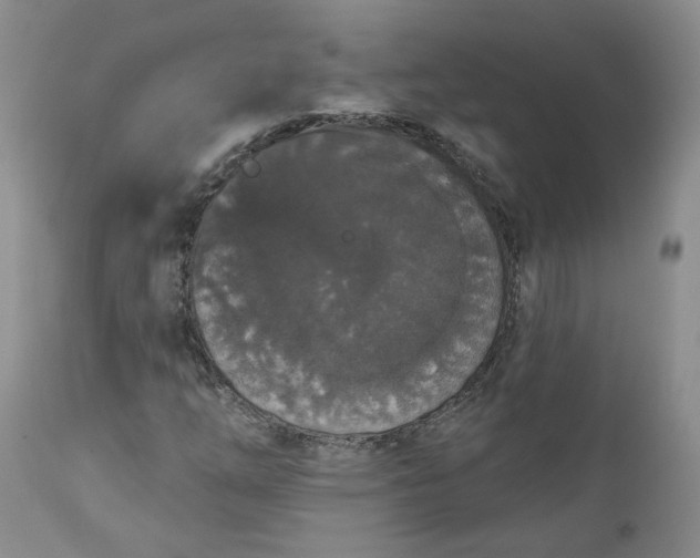 X0000112521254200908311349