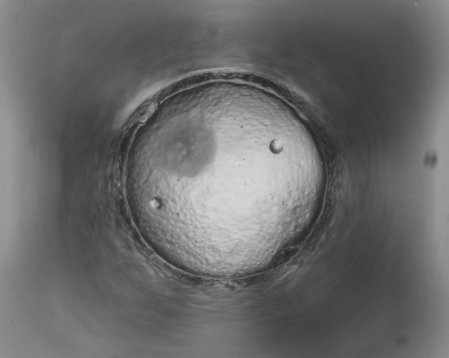 X0000112521255200908311349