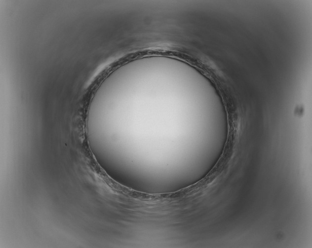 X0000112521256200908311349