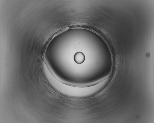 X0000112521257200908311349