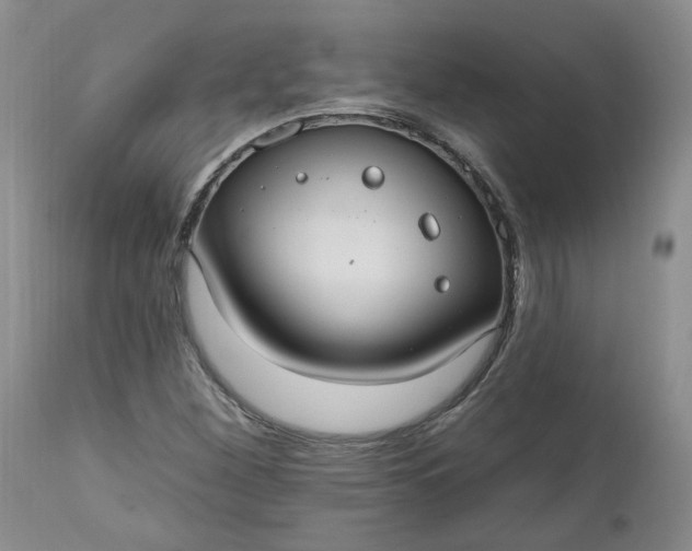X0000112521260200908311349