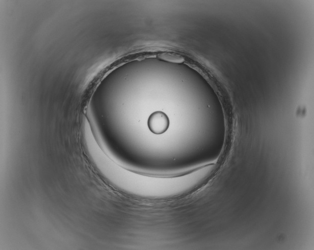 X0000112521261200908311349