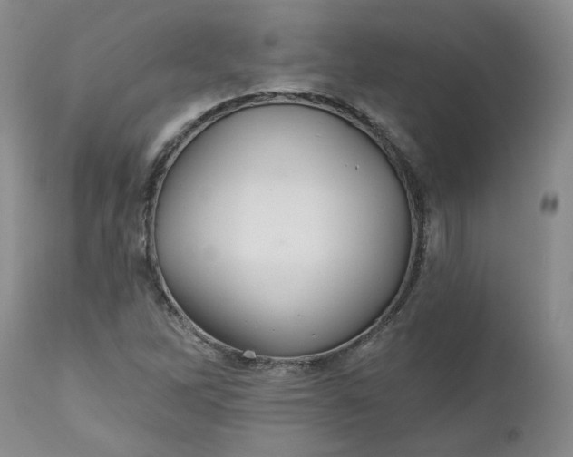 X0000112521262200908311349
