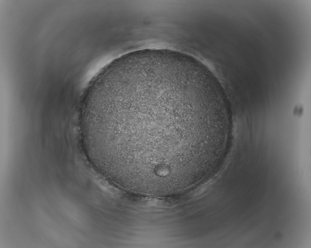 X0000112521263200908311349
