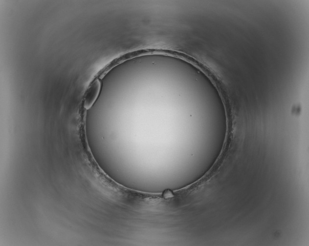 X0000112521264200908311349