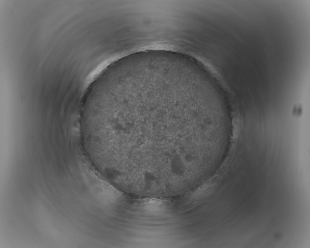 X0000112521266200908311349