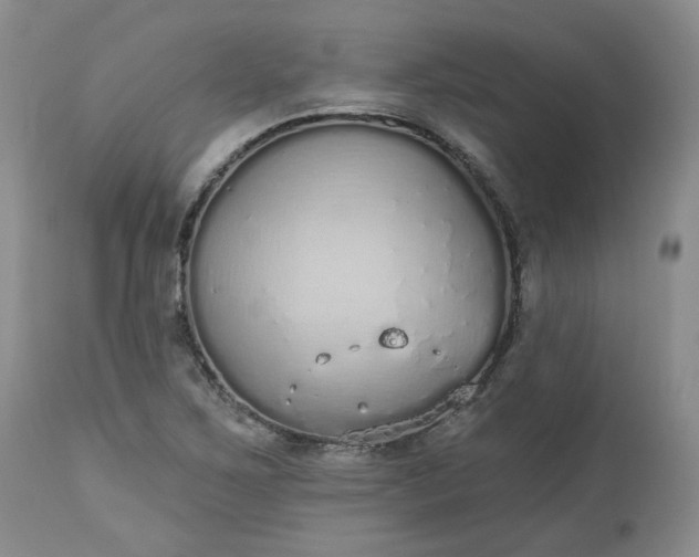 X0000112521267200908311349