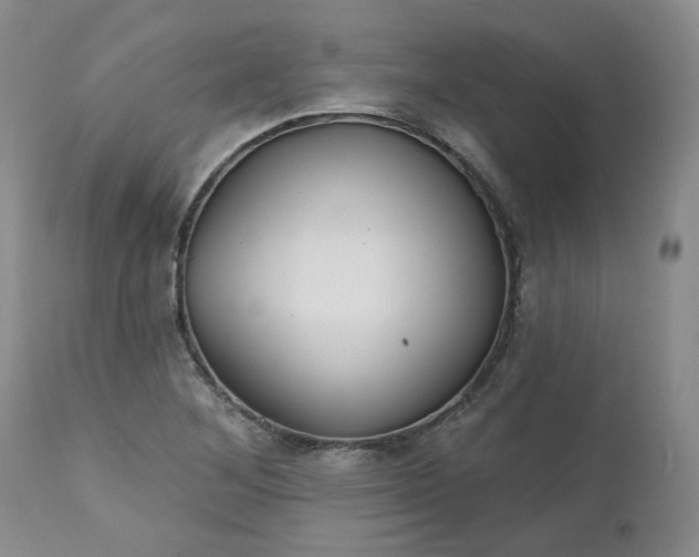 X0000112521268200908311349