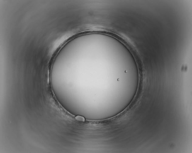 X0000112521269200908311349