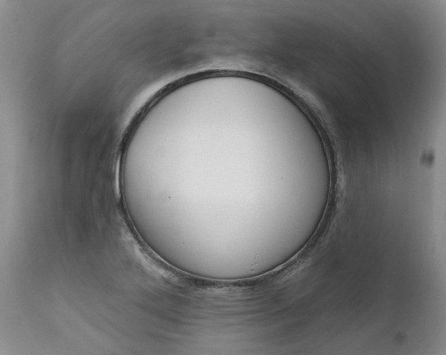 X0000112521272200908311349