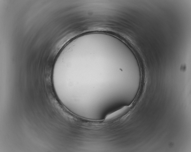 X0000112521273200908311349