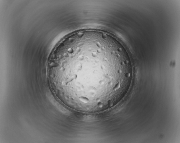 X0000112521275200908311349