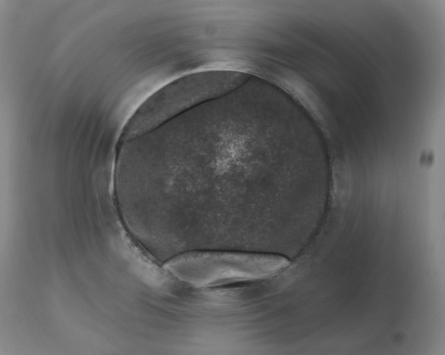 X0000112521276200908311349