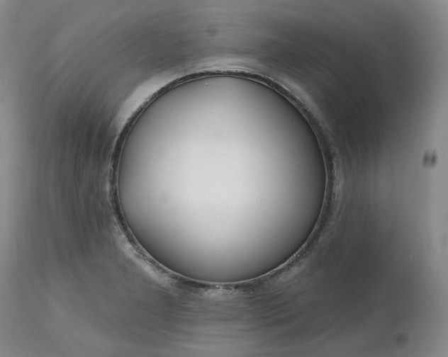 X0000112521277200908311349