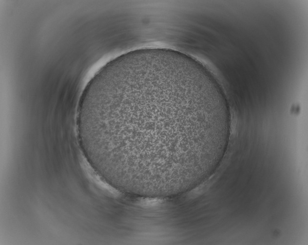 X0000112521278200908311348
