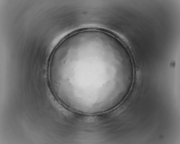 X0000112521279200908311348
