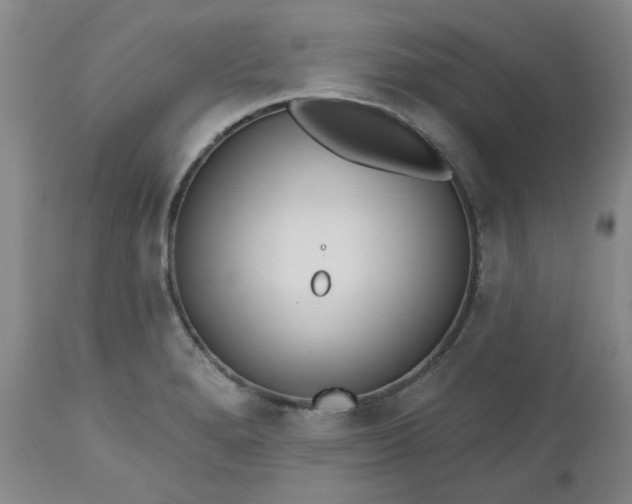 X0000112521280200908311348