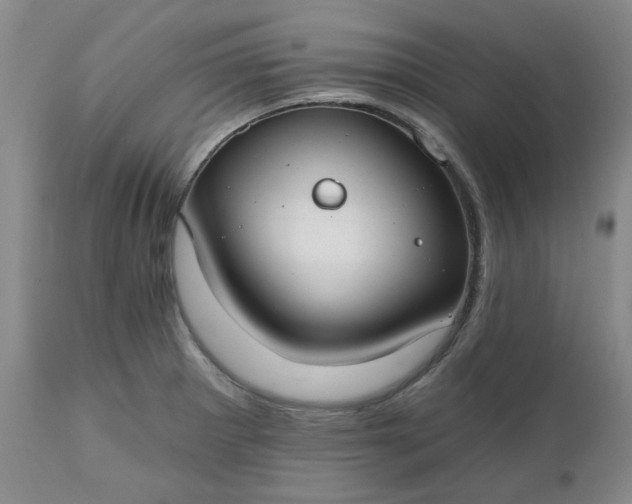 X0000112521281200908311348