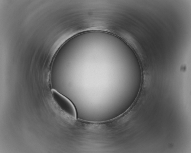 X0000112521284200908311348