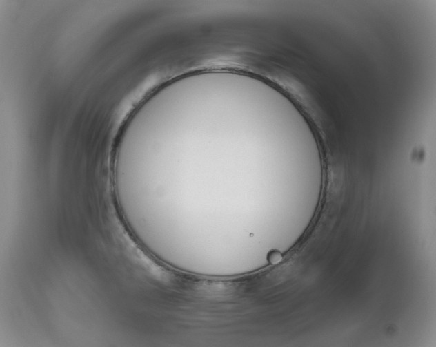 X0000112521286200908311348