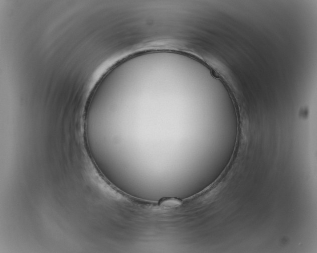 X0000112521288200908311348