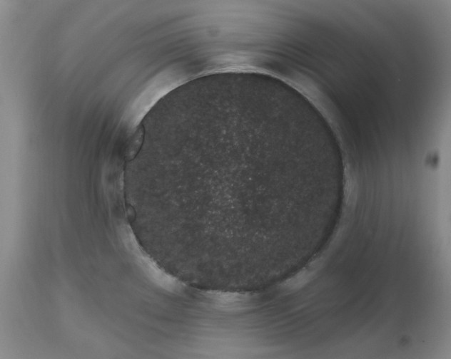 X0000112521289200908311348