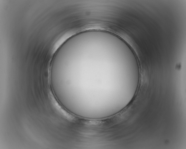 X0000112521290200908311348