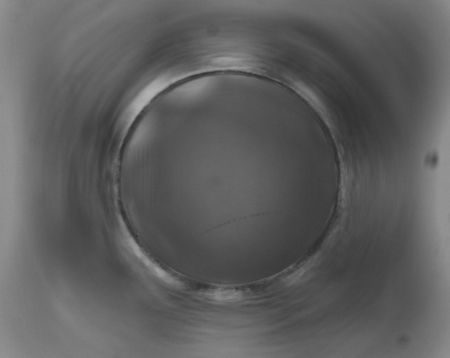 X0000112521291200908311348