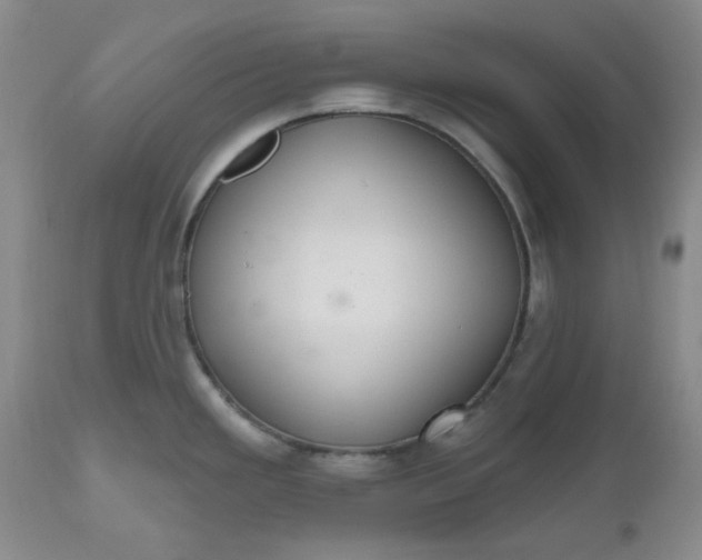 X0000112521293200908311348